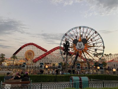 B3F48219-B62D-4CBE-AB63-677C3A3B7DA8.jpeg
