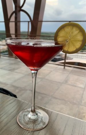TOLEDO SANGRIA TINI.jpg