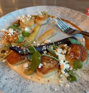 TOLEDO SCALLOPS.jpg