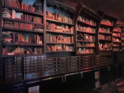 Gideon Bookshelves.jpg