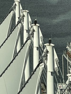 9FA9D080-1CB6-49D5-9E08-EC2916F47FCF.jpeg