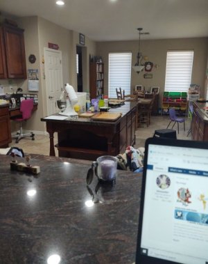 IMG_20220706_093000255.jpg