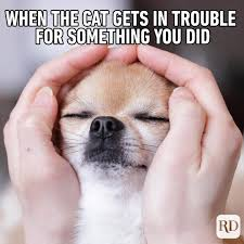 1657131426162.png