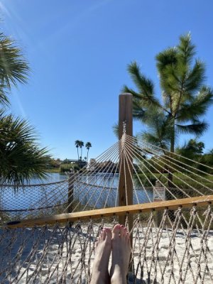 IMG_3498.JPEG