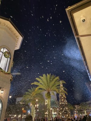 IMG_3518.JPEG