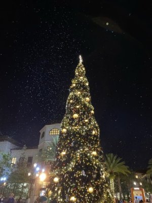 IMG_3521.JPEG