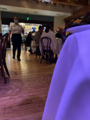 IMG_3532.JPEG