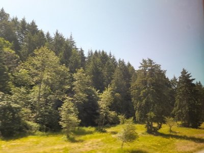 1. Billy Frank Jr. Nisqually National Wildlife Refuge.jpg