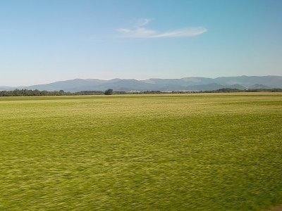 3. between salem and junction city.jpg