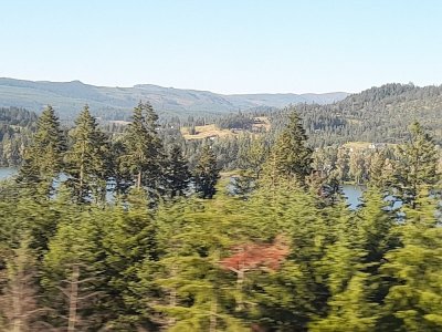 8. Williamette national forest between Eugeune and chemult.jpg