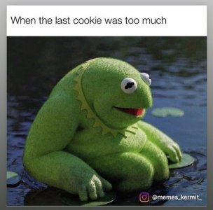 45C4B2A8-E0C0-4E8D-8003-FD3EDEED9B4B.jpeg