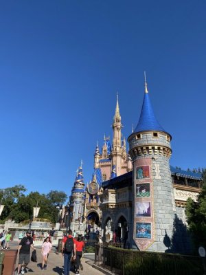 IMG_3540.JPEG