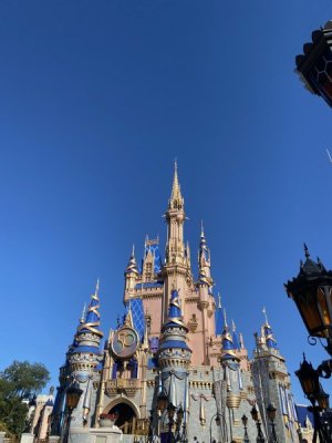 IMG_3541.JPEG