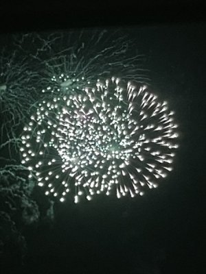 A87CA09B-7AE3-4BDA-B5F3-CC56D97970F1.jpeg