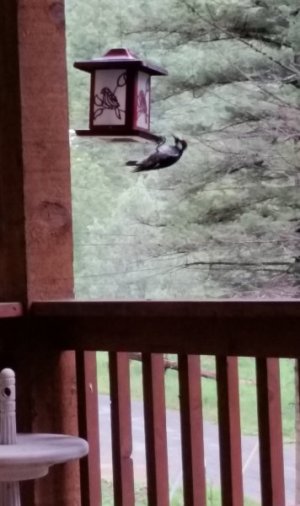20220708_104821.jpg