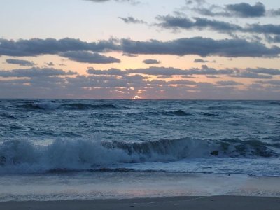 IMG_0231.JPG