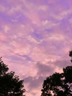 65D5D120-6494-47C1-8363-AB300B8AAE07.jpg