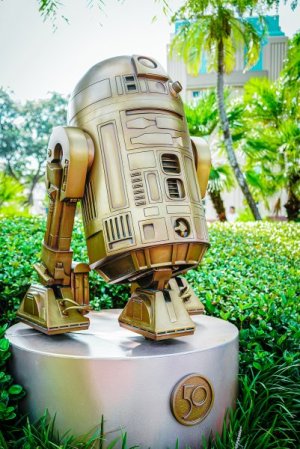 r2.jpg