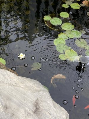 CB011521-769F-4A6D-8786-1BDE555CB23E.jpeg