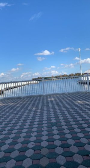 SNAP_20211219-145631.jpg
