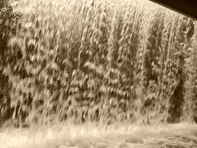 20201004_095230.jpg