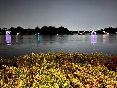 IMG_2022-7-13-125410.jpg