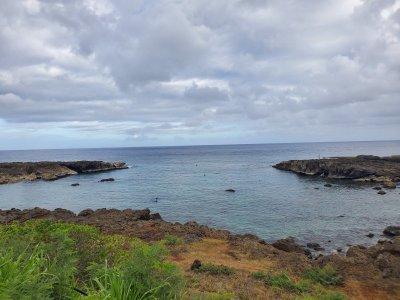 20220703_080749.jpg