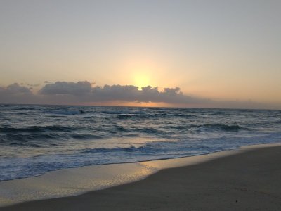 IMG_20220221_070322946.jpg