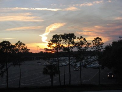 IMG_3876.JPG