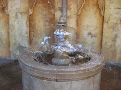 IMG_3598.JPG