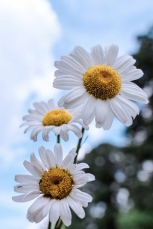 1D3B73AA-8E2C-4027-93D1-C57E70E5F57C.jpeg