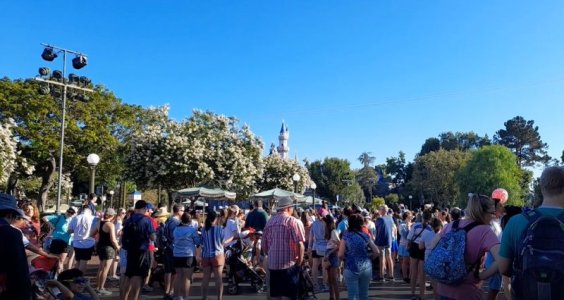 rope drop.jpg