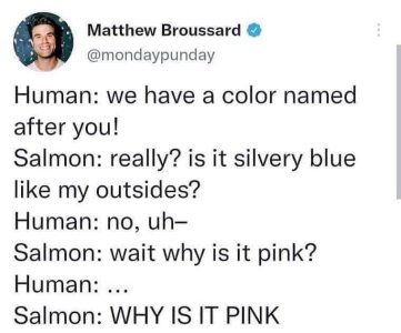 FB_IMG_1658095898675.jpg