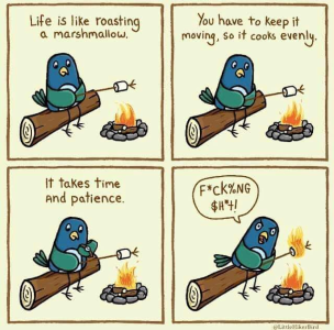 1658106078897.png