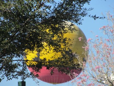 IMG_1074.JPG