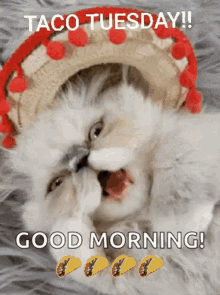 A7E9CD19-6244-4375-A3FF-092A33D82F80.gif