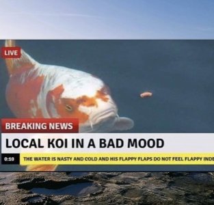D2E34E5D-F32D-4522-A42F-F986743BD8F0.jpeg