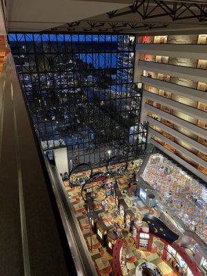 IMG_6893.jpeg
