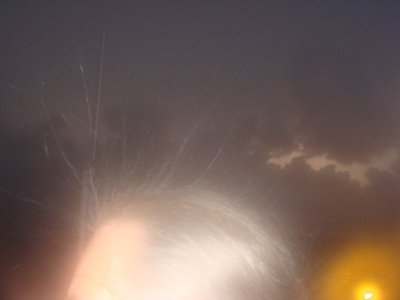 DSC08122.JPG