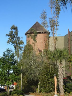 IMG_0564.JPG