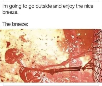 D04C01D3-A3C5-4BAD-B897-54C2D5E7E0A6.jpeg