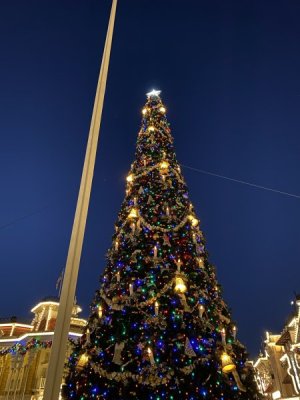 IMG_3609.JPEG