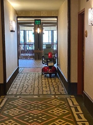 IMG_1385.jpg