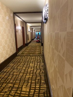 IMG_1404.jpg