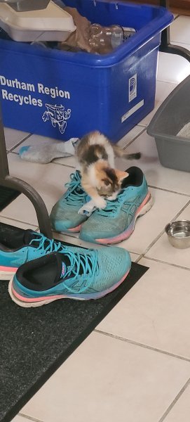 20220717_123815.jpg