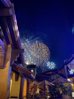 IMG_3656.JPEG