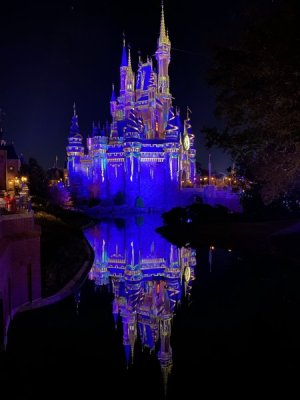 IMG_3675.JPEG