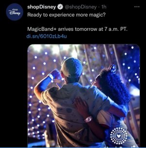 C0BD0FC5-B4D9-4486-B2FC-2521F04EC917.jpeg