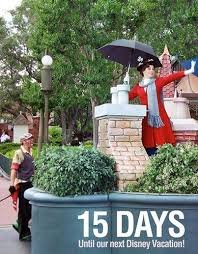 15 day (2).jpg