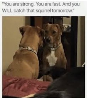 3E1CBE3F-2B7F-4B41-91B7-9BBB6307F870.jpeg